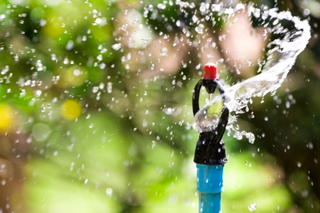 Illustration for article titled Items to Think About When Purchasing a Garden Sprinkler Device